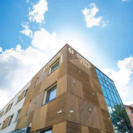 Pensiunea Panorama Business 4*