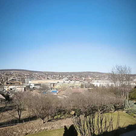 Panorama Business